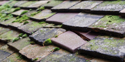 Horsley roof repair costs